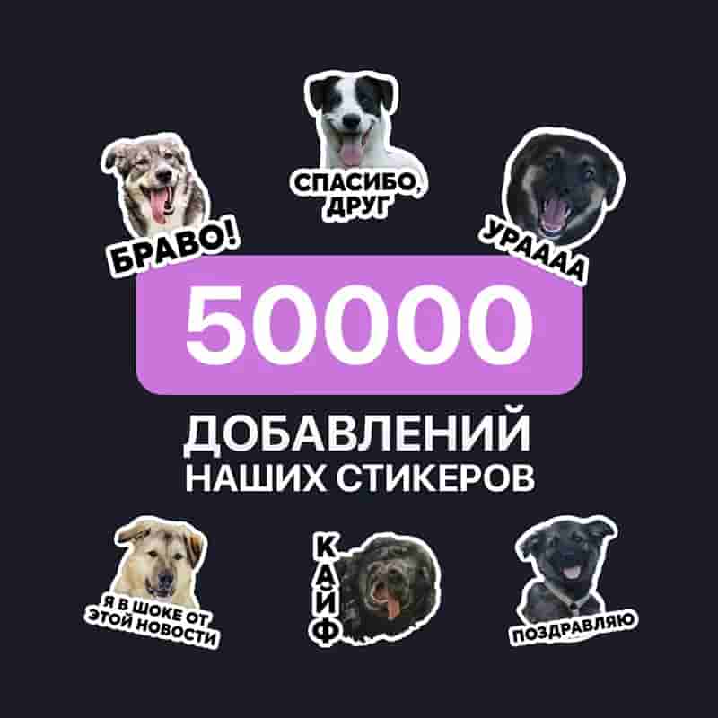 Стикеры с нашими собаками скачали уже более 50000 раз 😳 А вы уже скачали их?