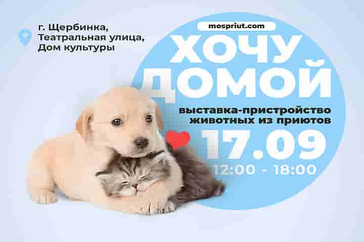 Приглашаем всех жителей Москвы и Подмосковья на фестиваль добра и мимимишности 🥰