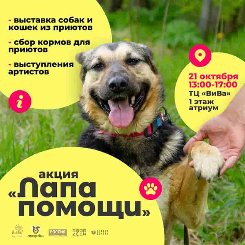 21 октября ТЦ «ВиВа» пройдёт благотворительная акция по пристройству животных «ЛАПА ПОМОЩИ»