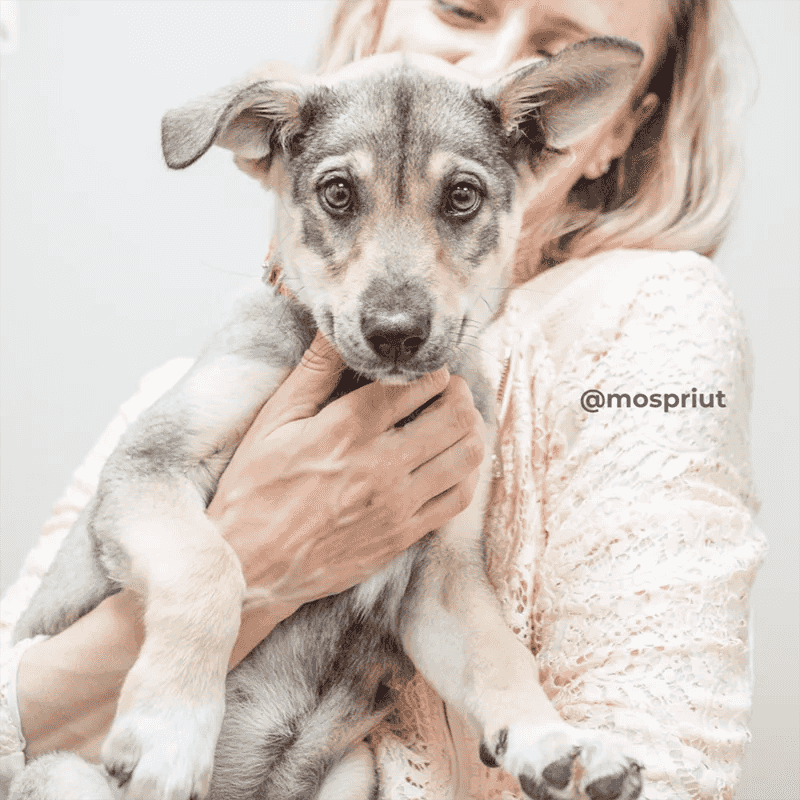 Маленькая Фиби пробуждает бесконечное счастье в сердцах каждого, кто встречается у нее на пути