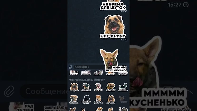 Видео «Крутые стикеры для Телеграм с собаками из приюта Щербинка #shorts #mospriut #telegram»