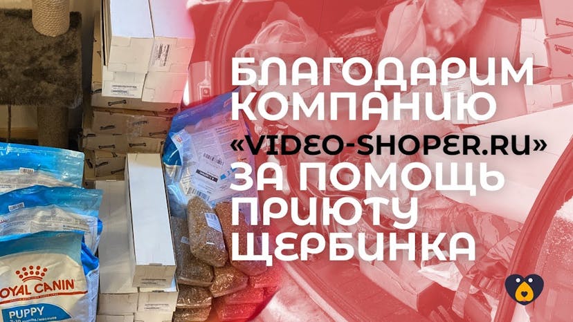 Видео «Благодарим компанию «video-shoper.ru» за помощь приюту Щербинка»