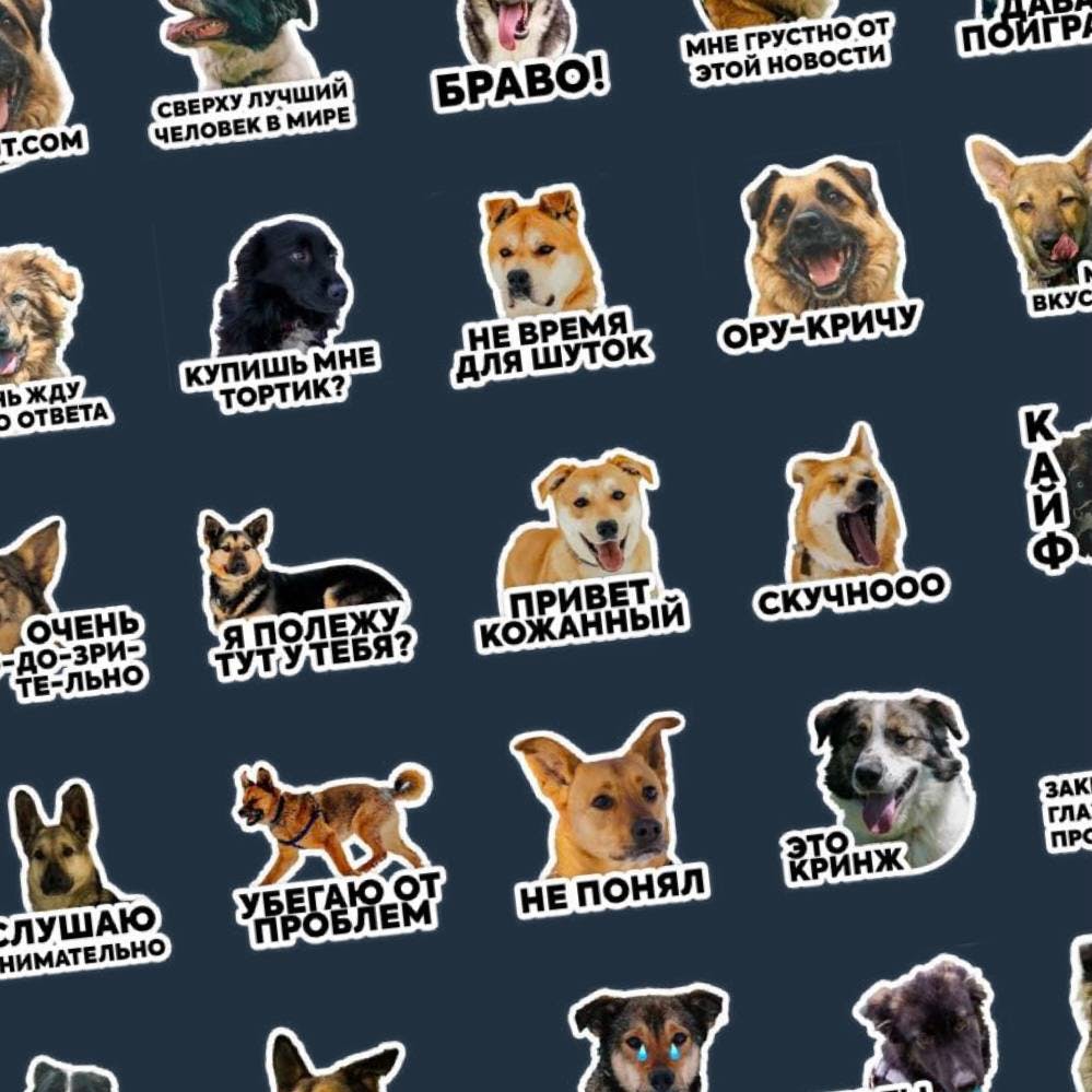 Собаки из нашего приюта теперь доступны в виде стикеров для Телеграм
