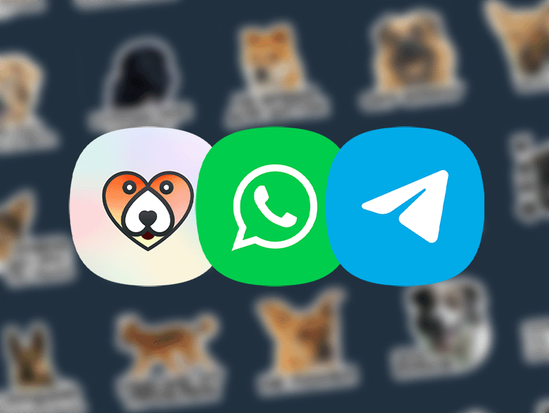 Как установить наши стикеры для WhatsApp и Telegram?