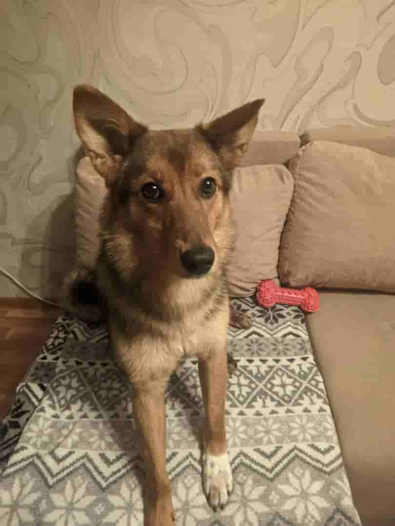 Привет из дома от Музы