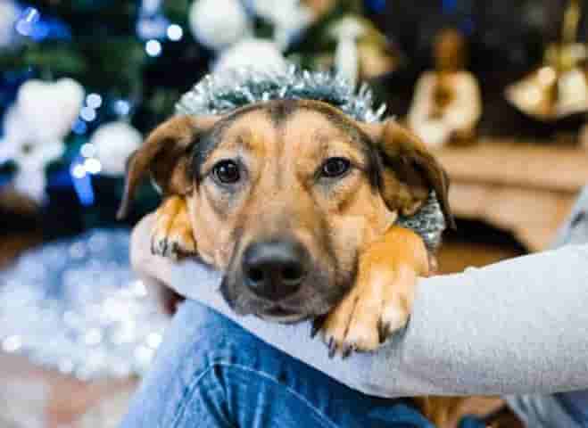 Итоги 2021 года