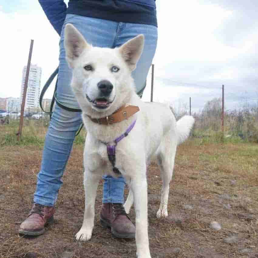 Привет из дома от Снежи