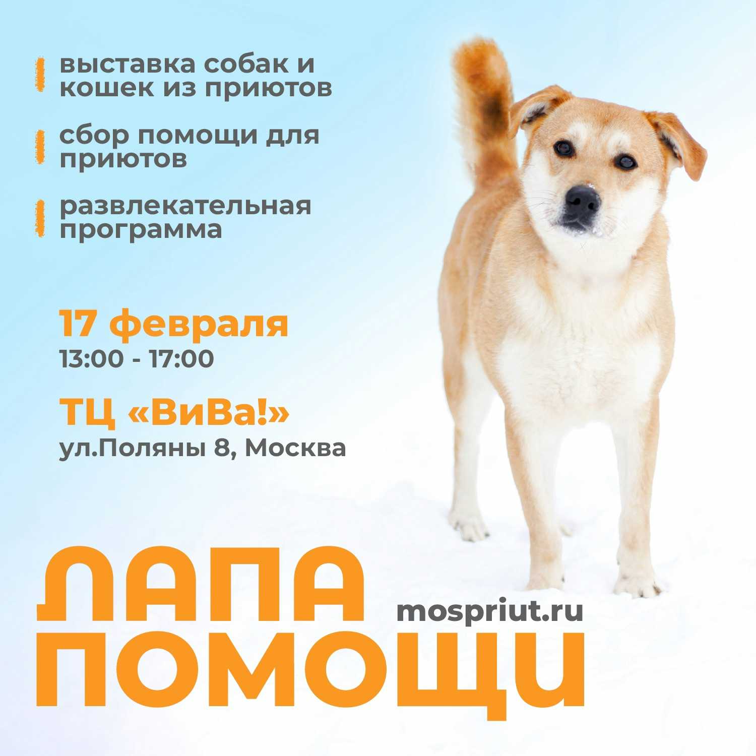 17 февраля в ТЦ «ВиВа» пройдёт благотворительная акция по пристройству животных «ЛАПА ПОМОЩИ»